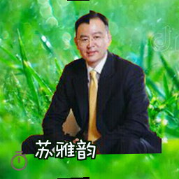 苏雅韵